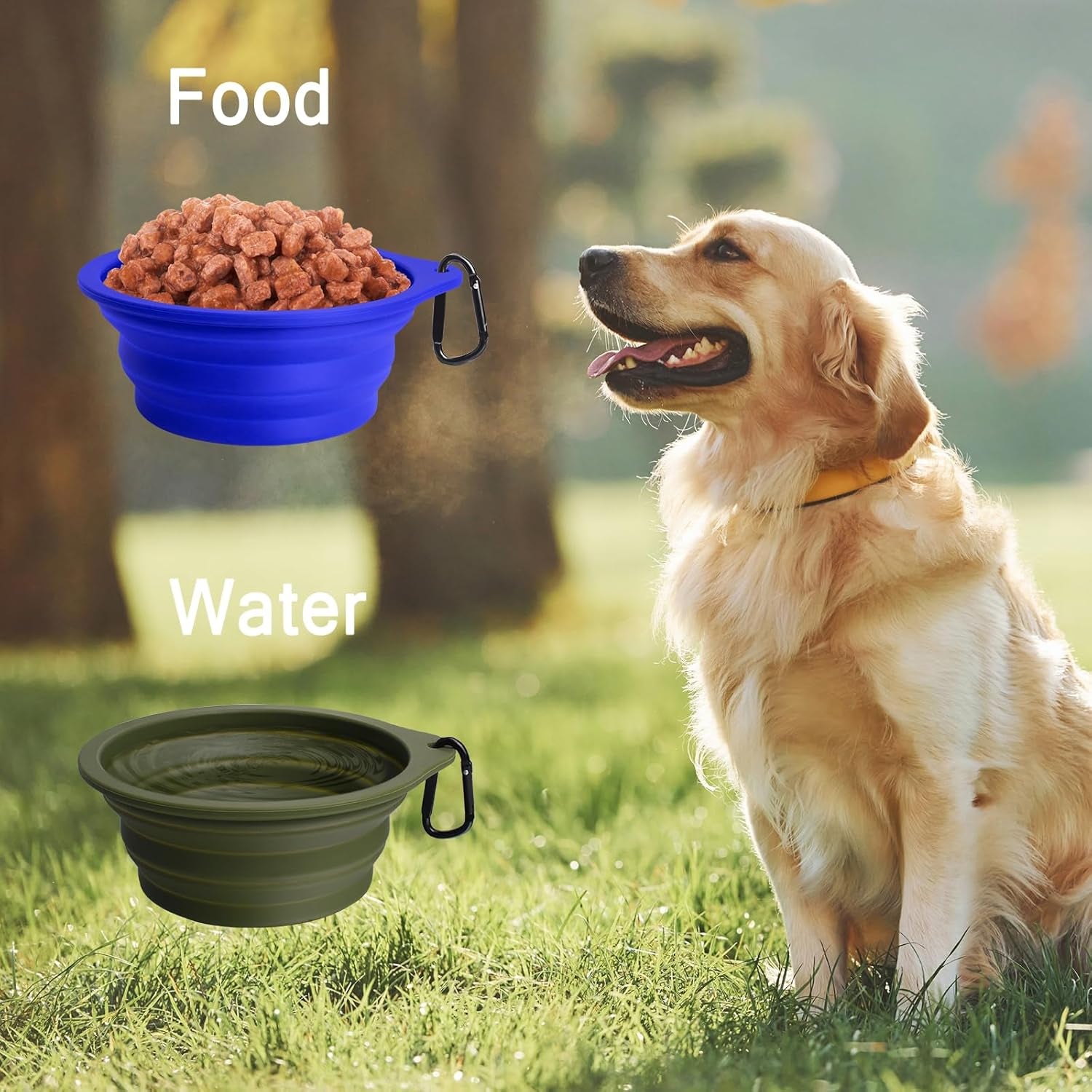 Foldable Silicone Dog Bowls – Travel-Friendly, BPA-Free, with Carabiners (2-Pack, Green & Blue)