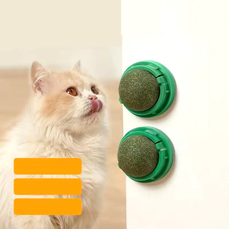 Catnip Wall Stick-On Ball – Fun Toy & Digestive Cat Grass Treat