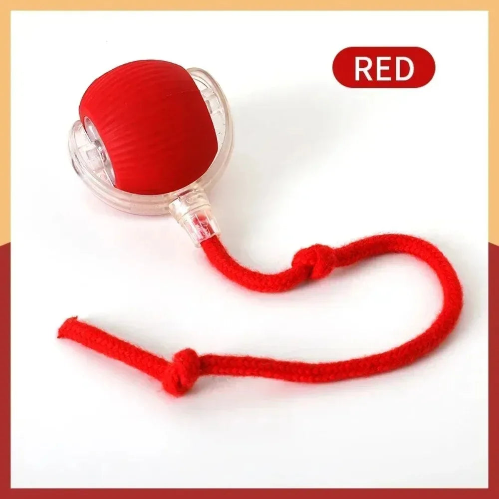 Interactive Cat Toy Ball – Automatic Rolling with Faux Tail, Rechargeable Smart Mouse Imitation