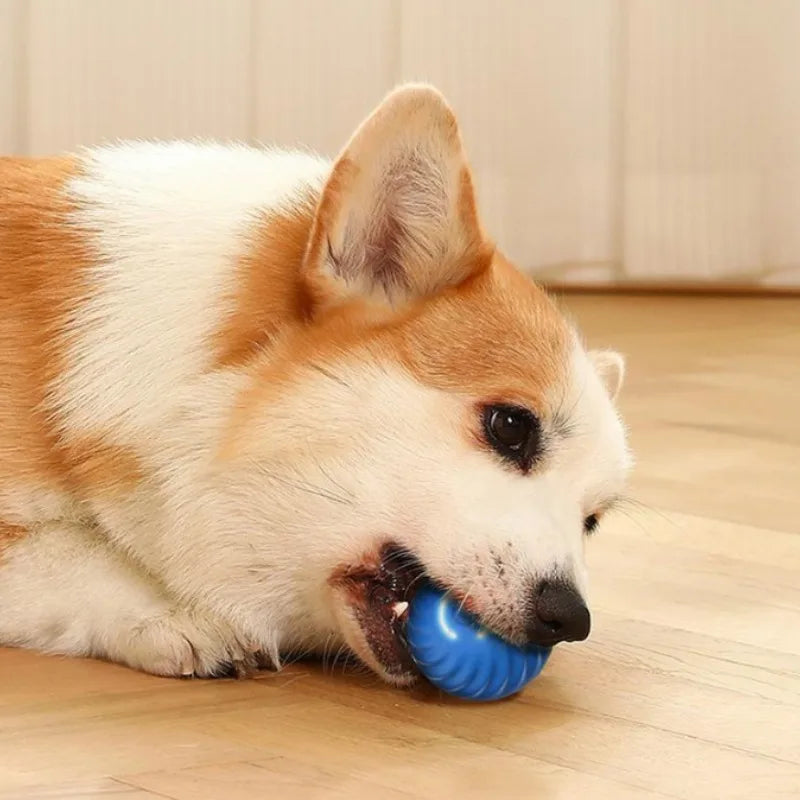 Smart Interactive Dog Toy Ball – USB Rechargeable, Jumping & Rotating