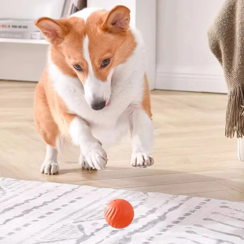 Smart Interactive Dog Toy Ball – USB Rechargeable, Jumping & Rotating