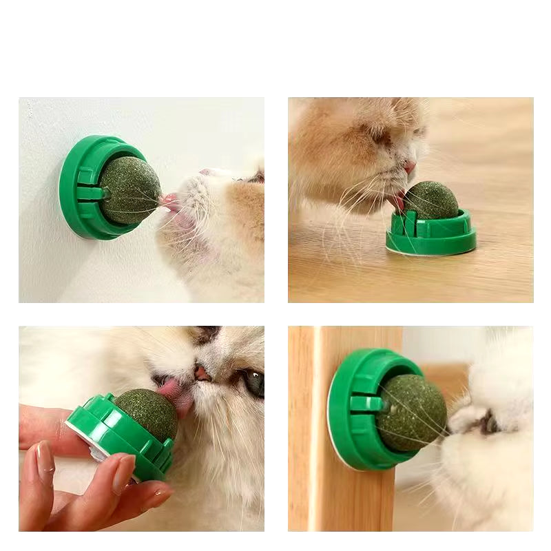 Catnip Wall Stick-On Ball – Fun Toy & Digestive Cat Grass Treat