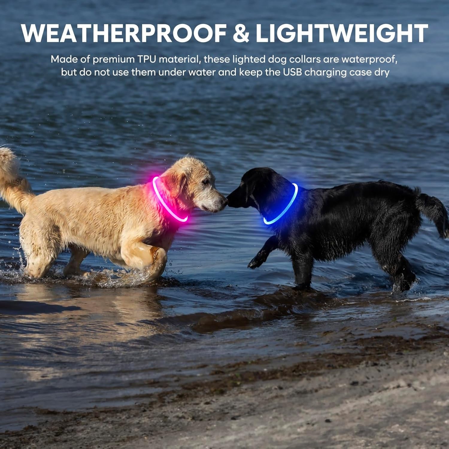 ✨ Light up Dog Collar – Waterproof LED Pet Collar (Pink)