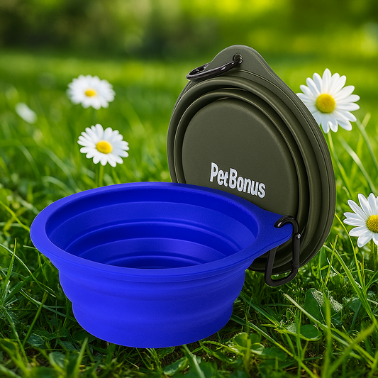 Foldable Silicone Dog Bowls – Travel-Friendly, BPA-Free, with Carabiners (2-Pack, Green & Blue)