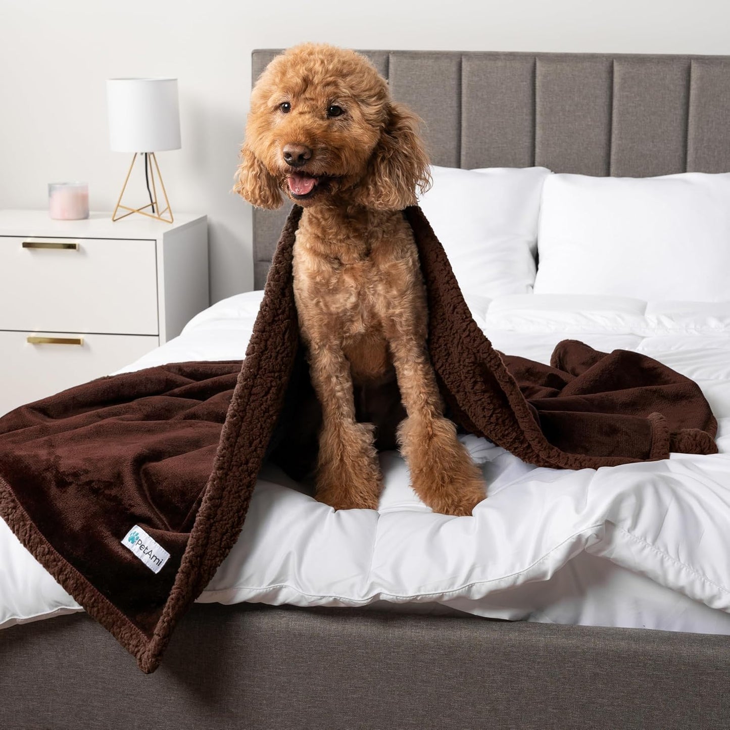 Waterproof Dog Blanket – Leakproof Couch Cover for Medium, Large & XL Dogs, Puppies, or Cats | Reversible Sherpa Fleece, Soft & Washable, Brown