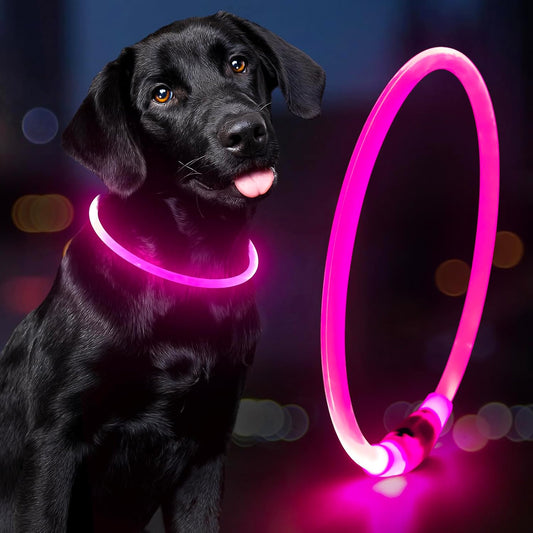 ✨ Light up Dog Collar – Waterproof LED Pet Collar (Pink)