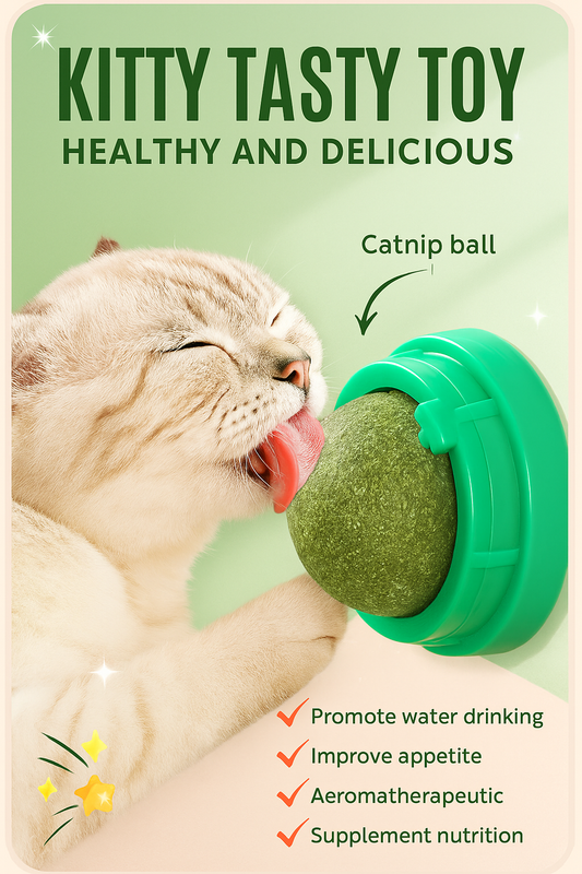 Catnip Wall Stick-On Ball – Fun Toy & Digestive Cat Grass Treat