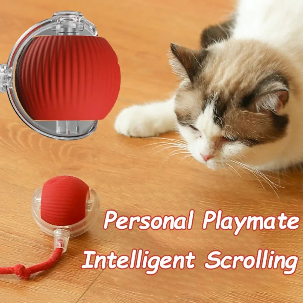 Interactive Cat Toy Ball – Automatic Rolling with Faux Tail, Rechargeable Smart Mouse Imitation