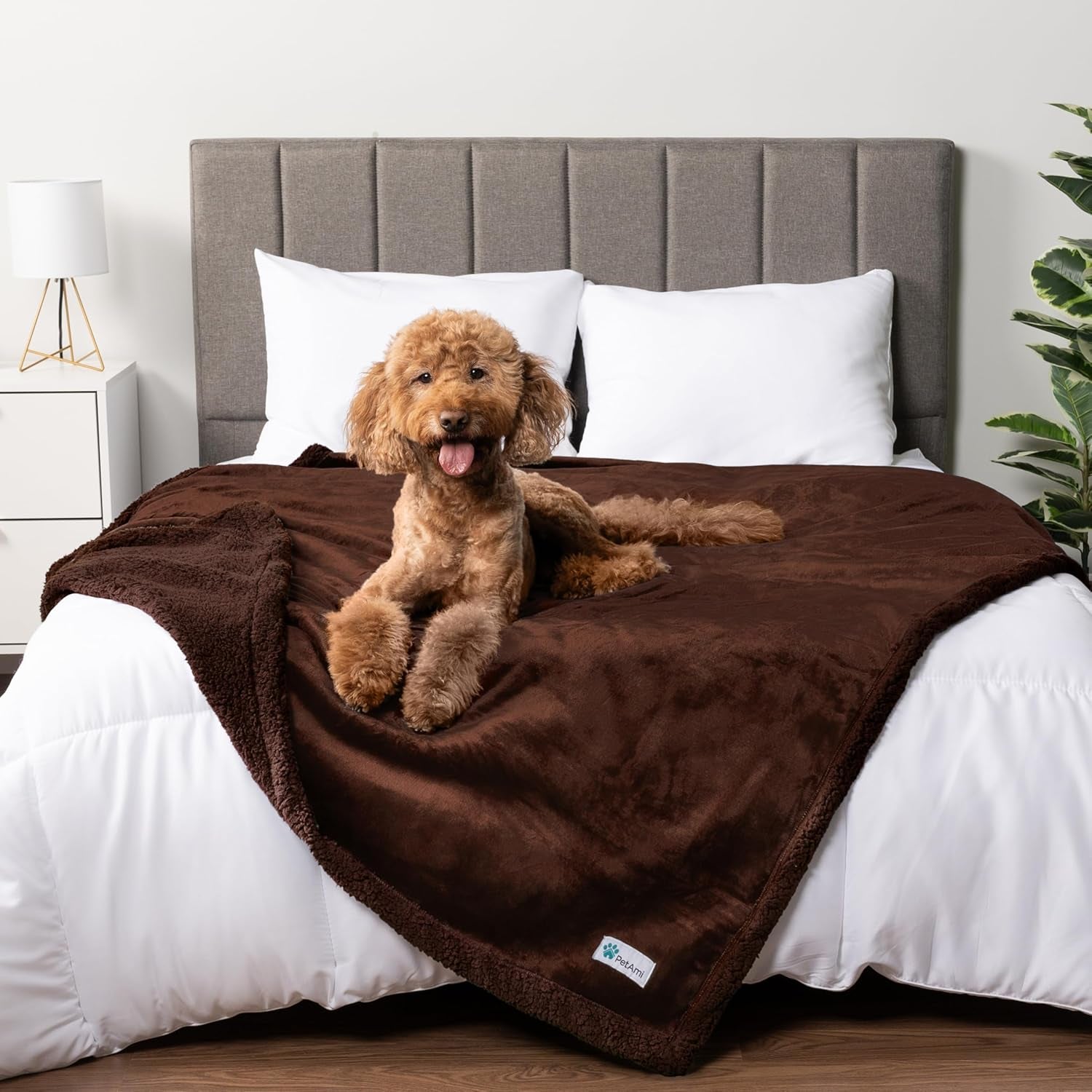 Waterproof Dog Blanket – Leakproof Couch Cover for Medium, Large & XL Dogs, Puppies, or Cats | Reversible Sherpa Fleece, Soft & Washable, Brown